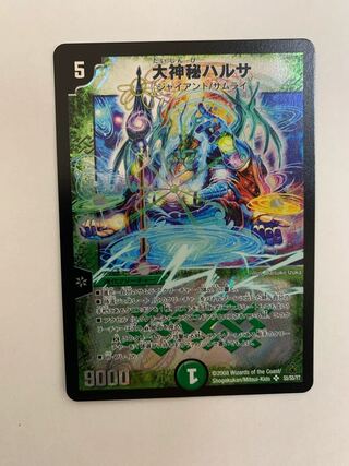 Japanese giant mysterious harusa (Harusa sieboldiana)