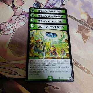 コクーン・シャナバガン(4枚)