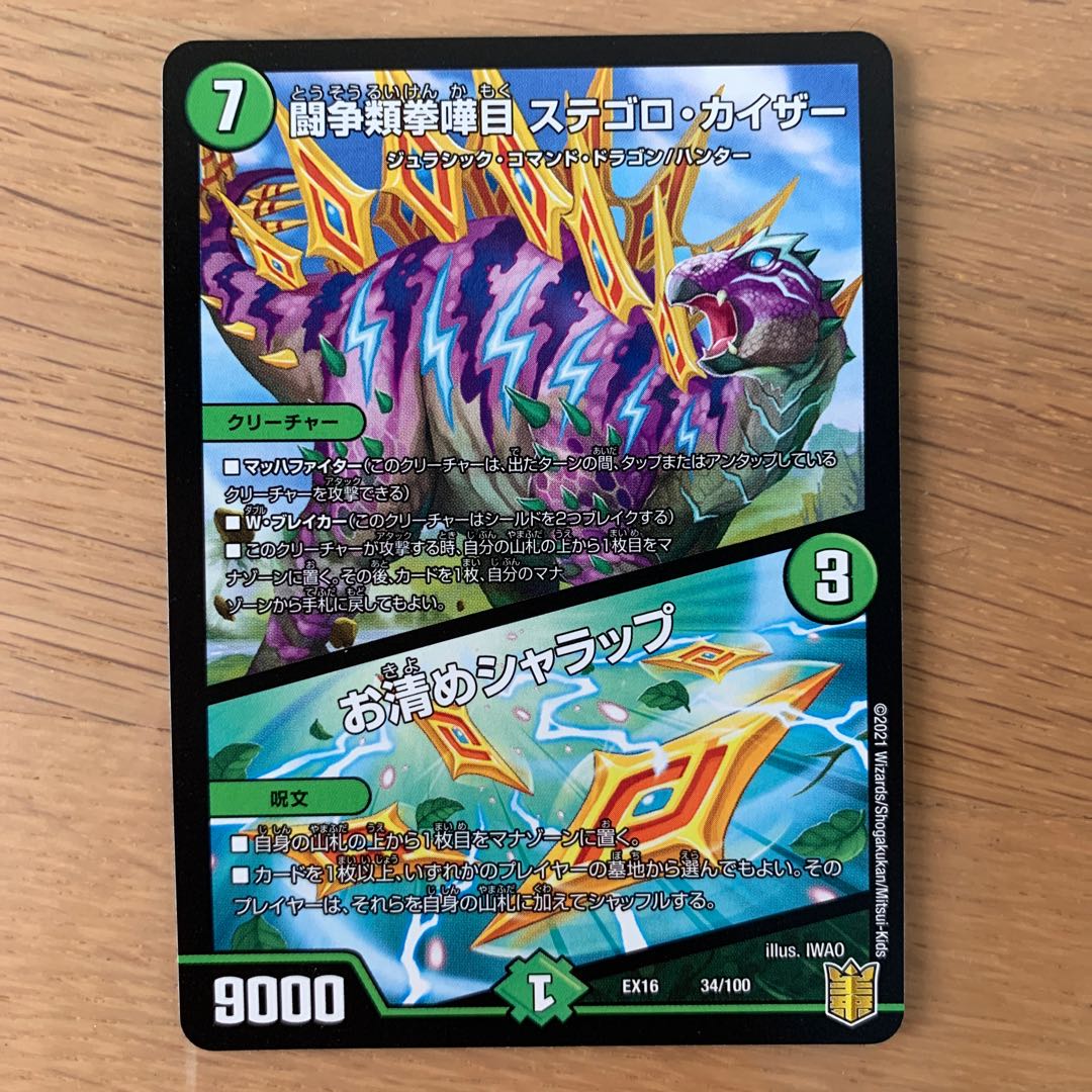 闘争類拳嘩目 ステゴロ・カイザー｜お清めシャラップ