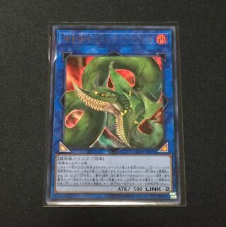 捕食植物ヴェルテ・アナコンダ   ウルトラ