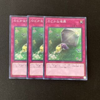専用(12点)L167 のどかな埋葬 ３枚セット 遊戯王 トレトレ