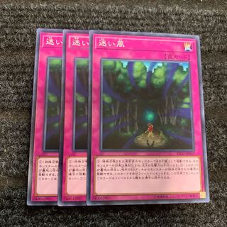 迷い風 ノーマル