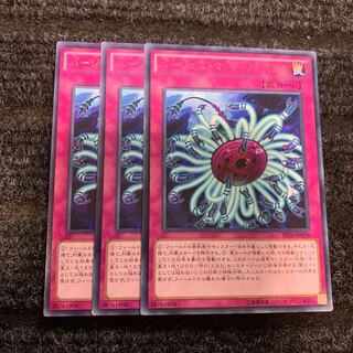 Paleozoic Dinomischus rare