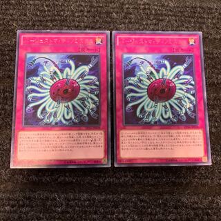 Paleozoic Dinomischus rare