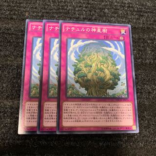 ナチュルの神星樹 ノーマル