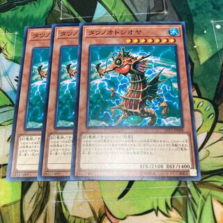 タツノオトシオヤ レア　3枚特価品