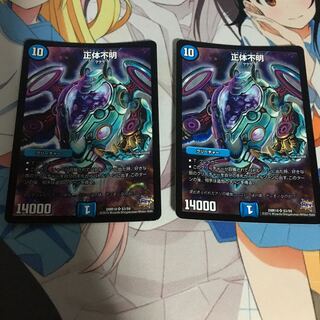 正体不明 2枚セット