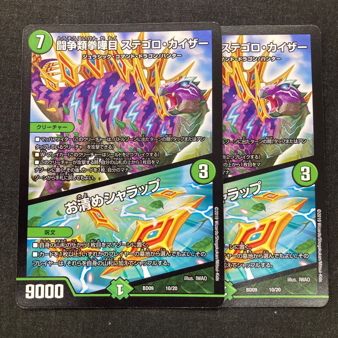 闘争類拳嘩目 ステゴロ・カイザー｜お清めシャラップ