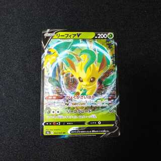 【専用】リーフィアV　0169+スノーリーフバッジ2枚