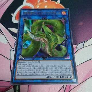 捕食植物ヴェルテ・アナコンダ