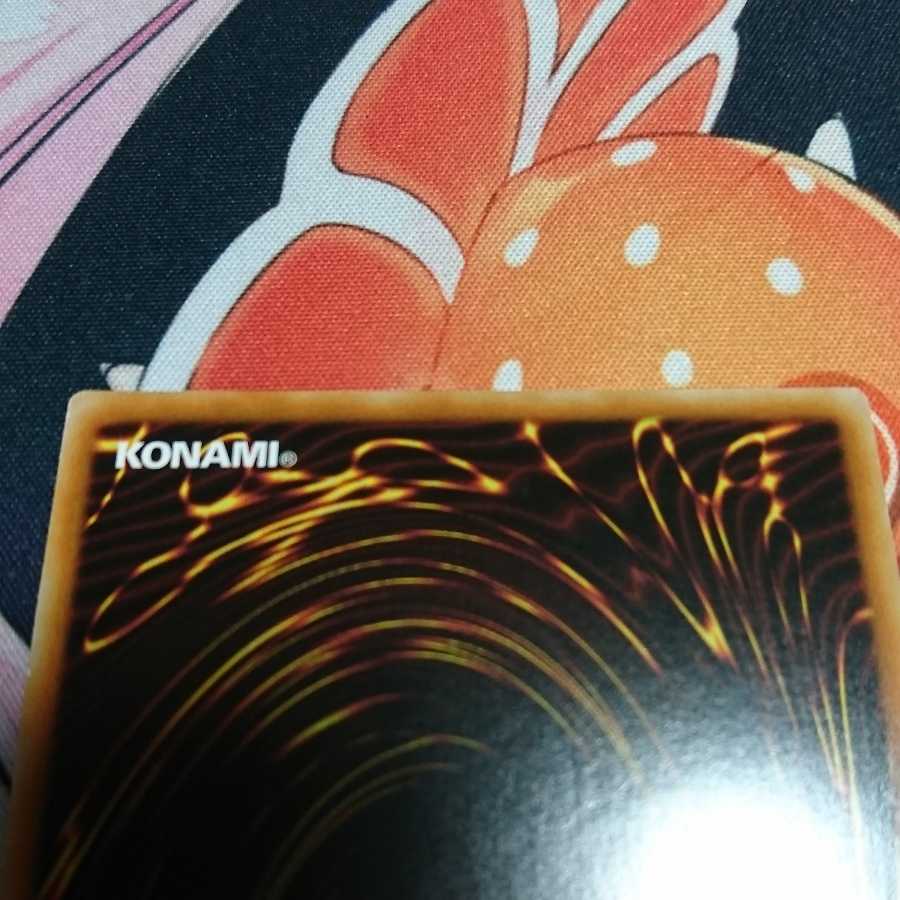 捕食植物ヴェルテ・アナコンダ