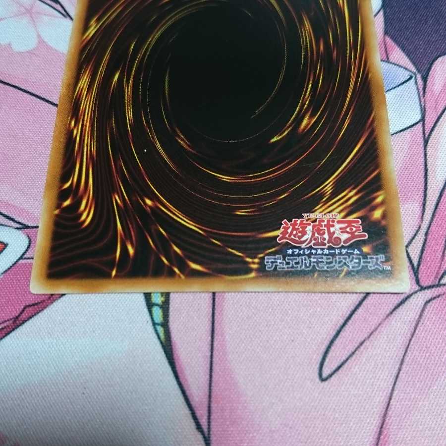 捕食植物ヴェルテ・アナコンダ