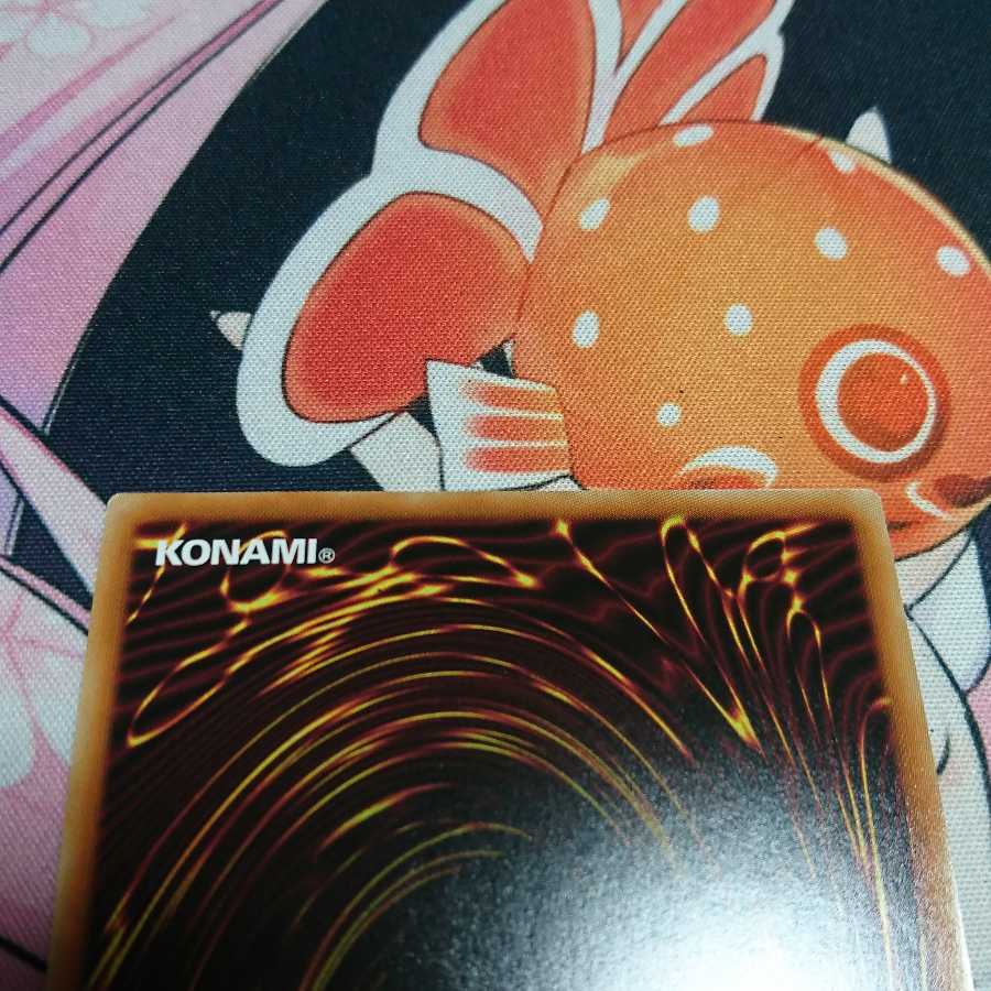 捕食植物ヴェルテ・アナコンダ