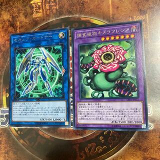 遊戯王★セキュア・ガードナー 、捕食植物キメラフレシア★