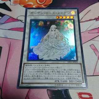 ガーデン・ローズ・メイデン