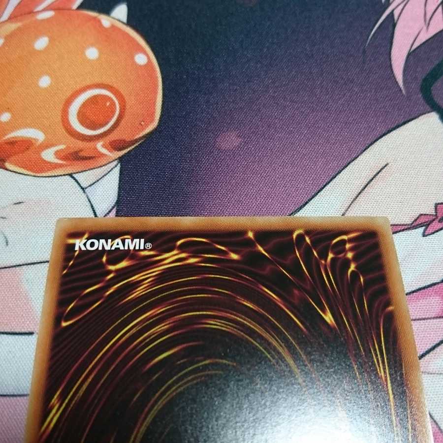 ガーデン・ローズ・メイデン