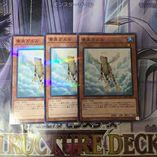 黄泉ガエル パラレル ノーマル　3枚