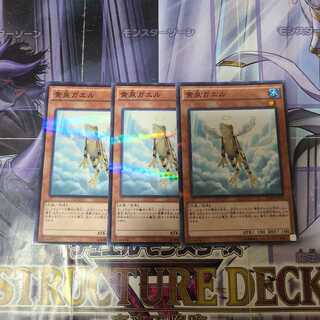 黄泉ガエル パラレル ノーマル　3枚