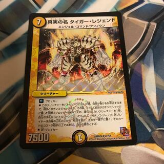 真実の名 タイガー・レジェンド