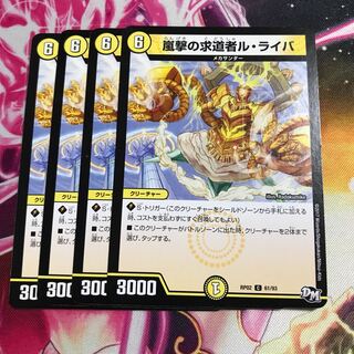 嵐撃の求道者ル・ライバ