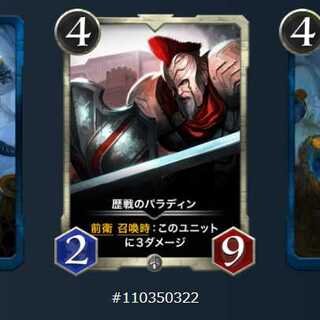 歴戦のパラディンLv.34