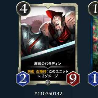 歴戦のパラディンLv.24