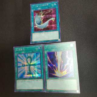 サンダーボルト 死者蘇生 ハーピィの羽根帚 シークレット