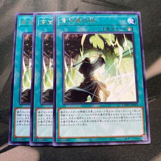 高尚儀式術 レア