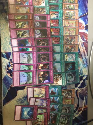 遊戯王　真竜　英語版　セット　高レアリティ 楽天市場】遊戯王 真竜 英語版の通販