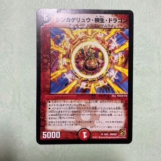 シンカゲリュウ・柳生・ドラゴン