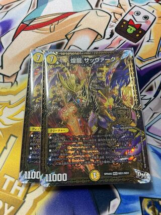 煌龍 サッヴァーク