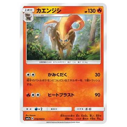 2枚目以降100円引/SM7a-016 カエンジシ C