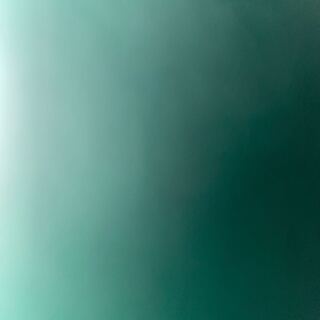 pooh様専用 ロードオブロット