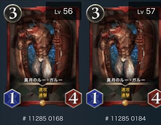 赤文明 ルーガルー 2枚セット