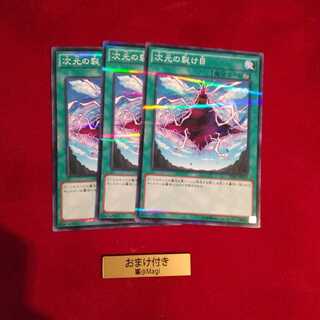 次元の裂け目 パラレル ノーマル