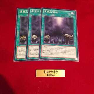 真帝王領域 ノーマル