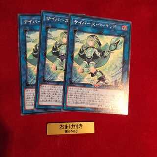 サイバース・ウィキッド ノーマル