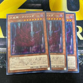 天威龍-ヴィシュダ