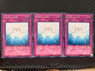 【ぽぽたん】遊戯王 6524 奇跡の光臨 3枚 レア