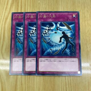 Heavy Storm Duster Rare