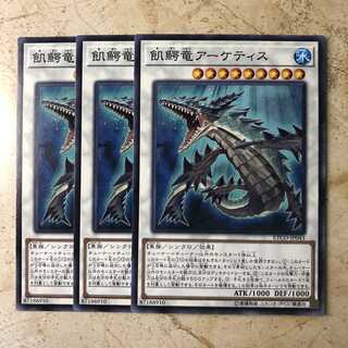 飢鰐竜アーケティス ノーマル(3枚)　