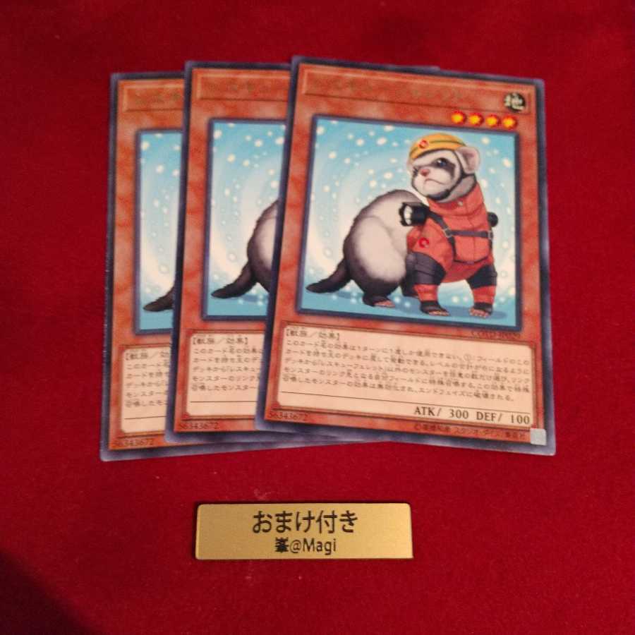 レスキューフェレット レア