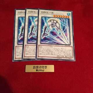 白闘気一角 ノーマル