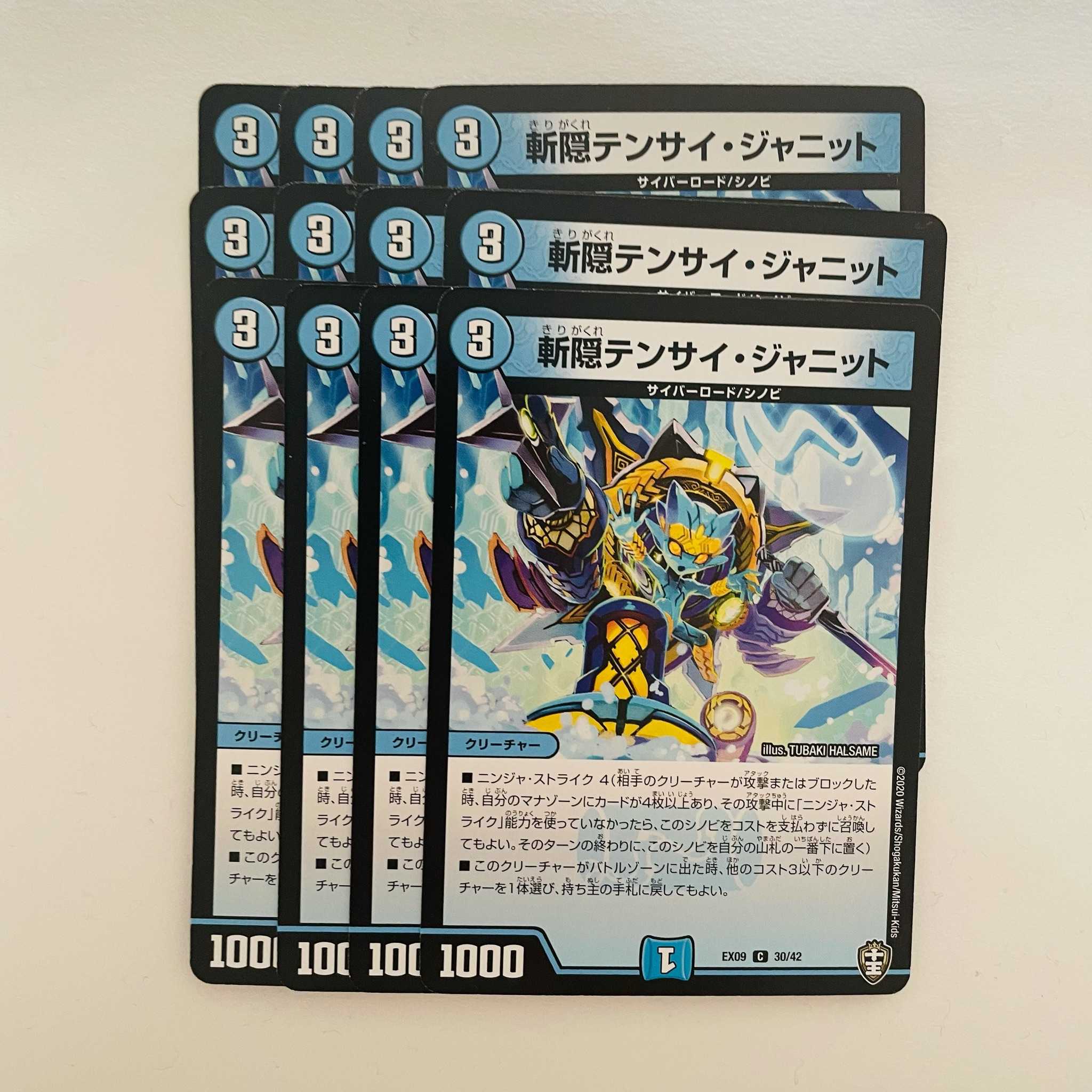 Zangen Tensai Janit 12pcs DM-EX-09-30