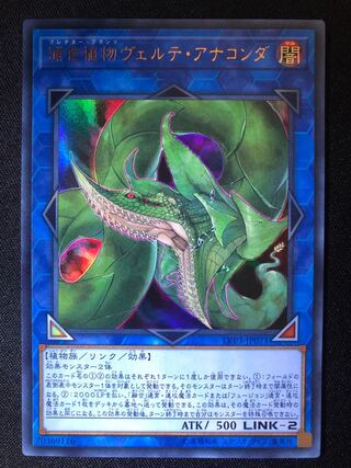 遊戯王　捕食植物ヴェルテ・アナコンダ　UR