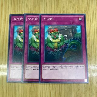 Waking the Dragon Normal