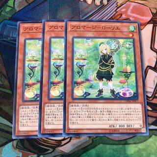 アロマージ-ローリエ ノーマル　3枚