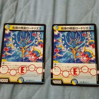 知識の精霊ロードリエス