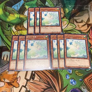 Spirit of the Fall Wind Rare 9pcs Special Price