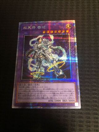 双天将 密迹　PSE